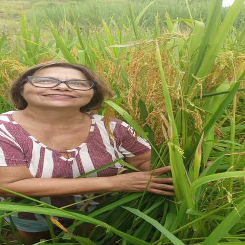 Beneficiados do Conexão Mata Atlântica exaltam legado e desejo de retomada